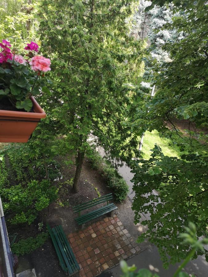 Natasa Apartman Oroshaza Luaran gambar